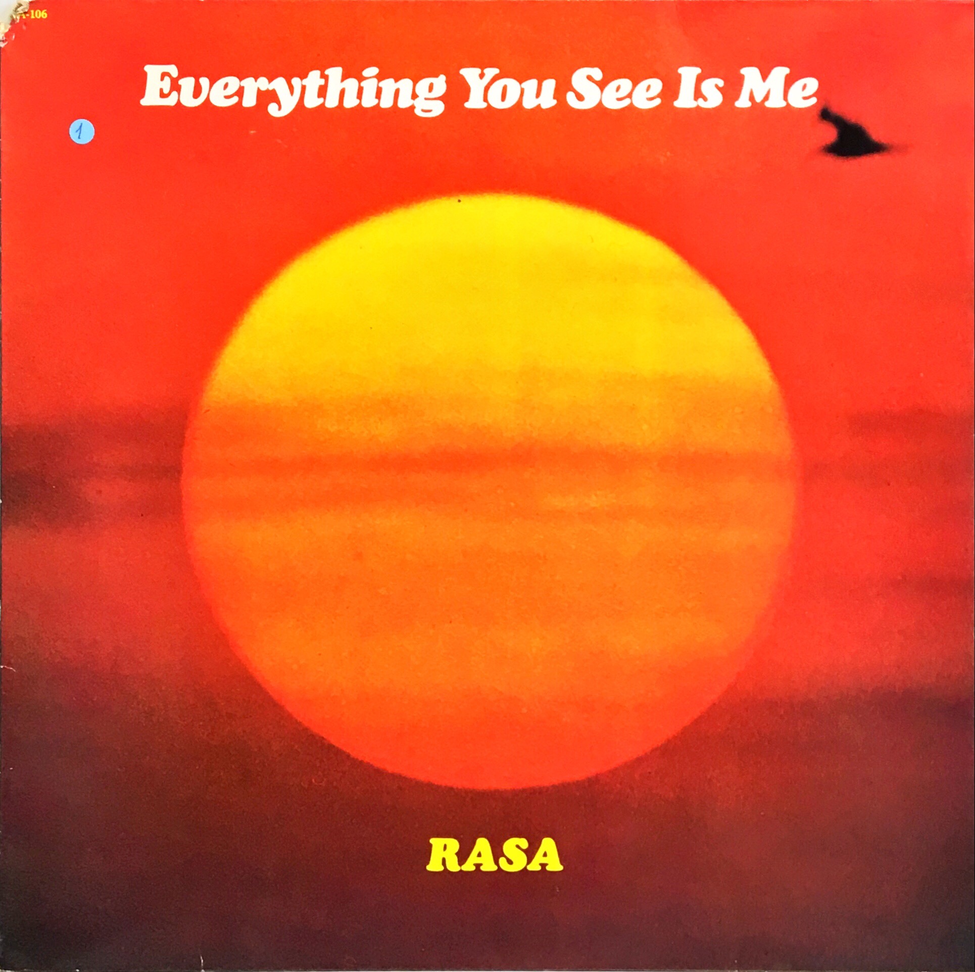 Rasa - Everything You See Is Me