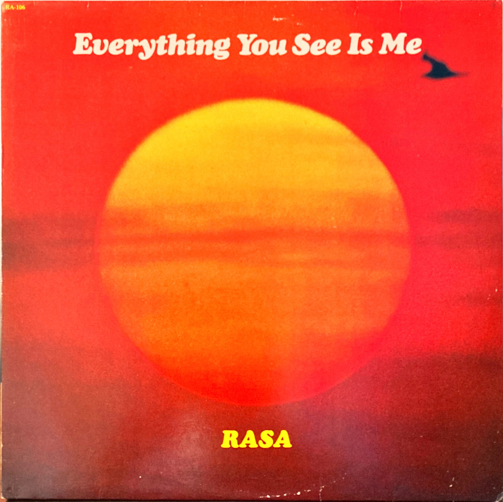 Rasa - Everything You See Is Me