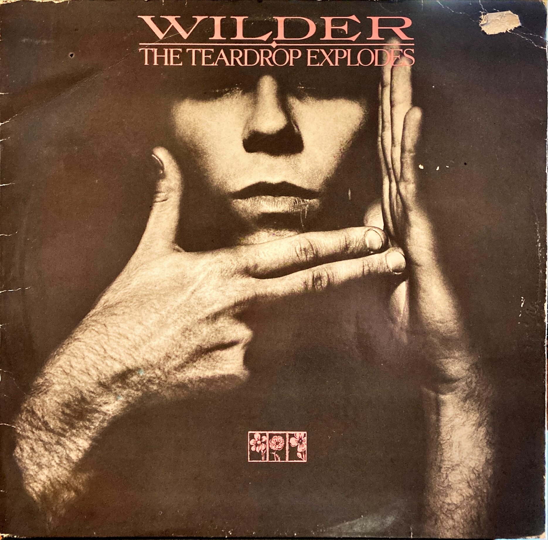 Teardrop Explodes, The - Wilder