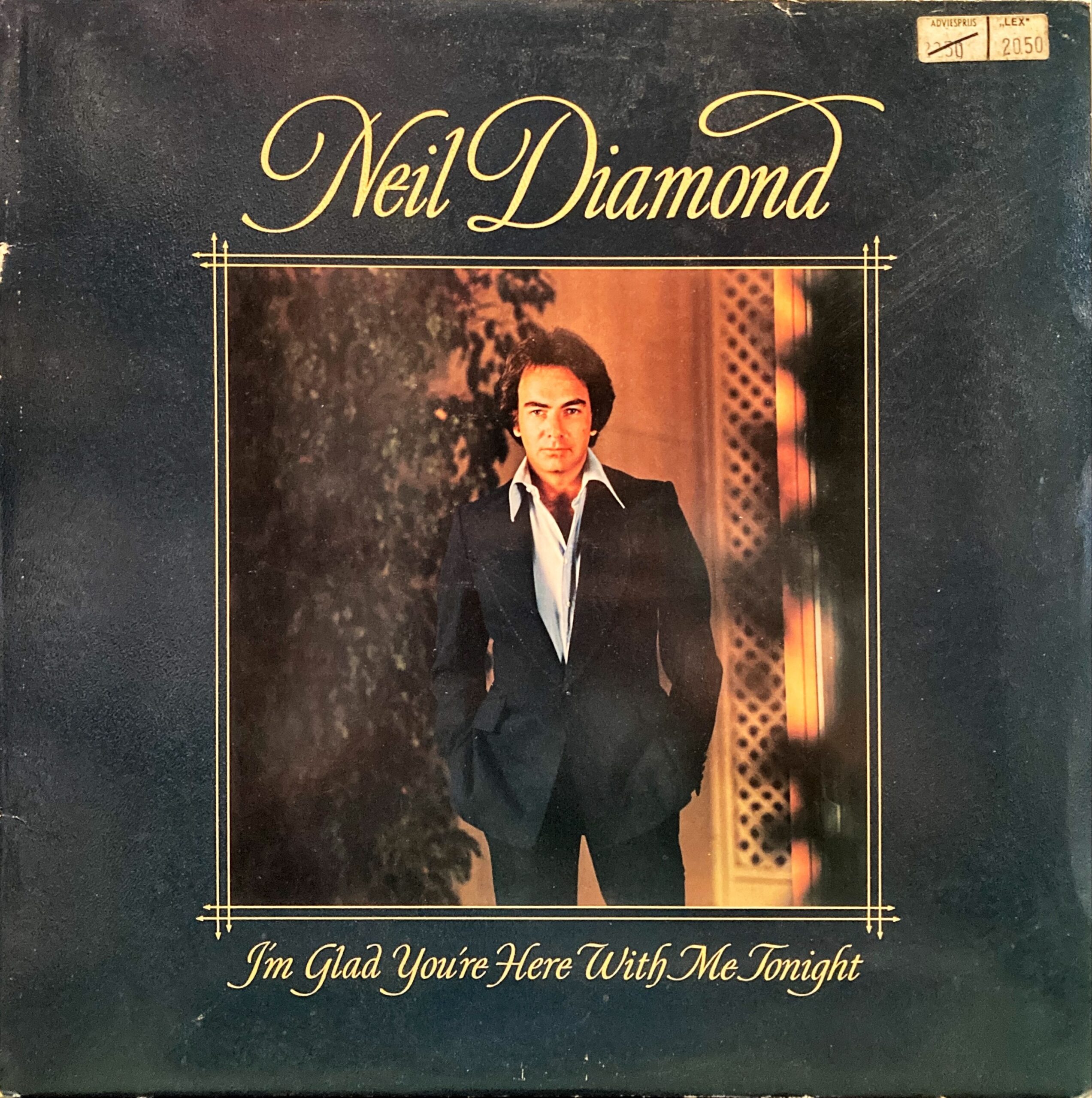 Neil Diamond - I'm Glad You're Here With Me Tonight