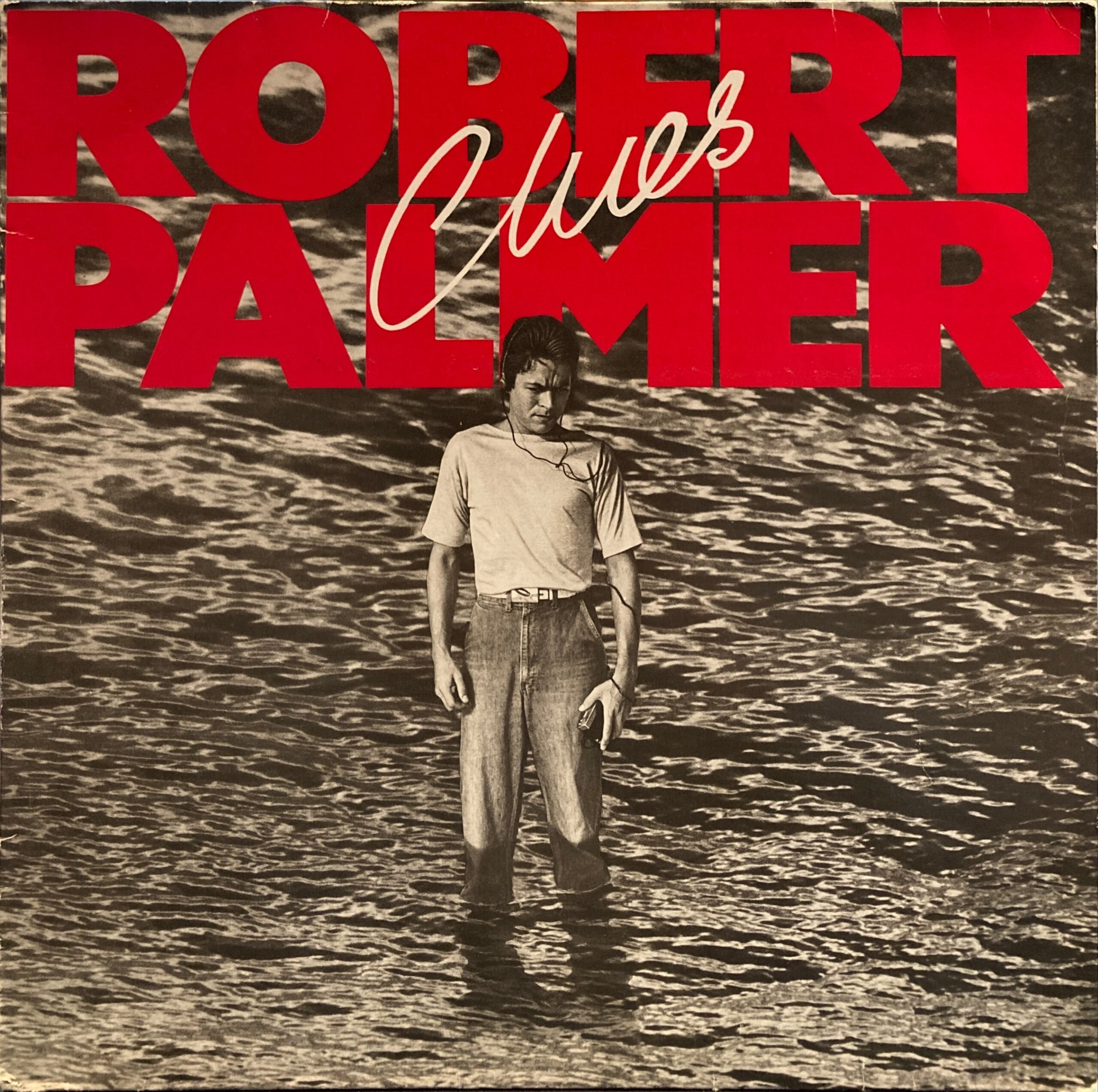 Robert Palmer - Clues