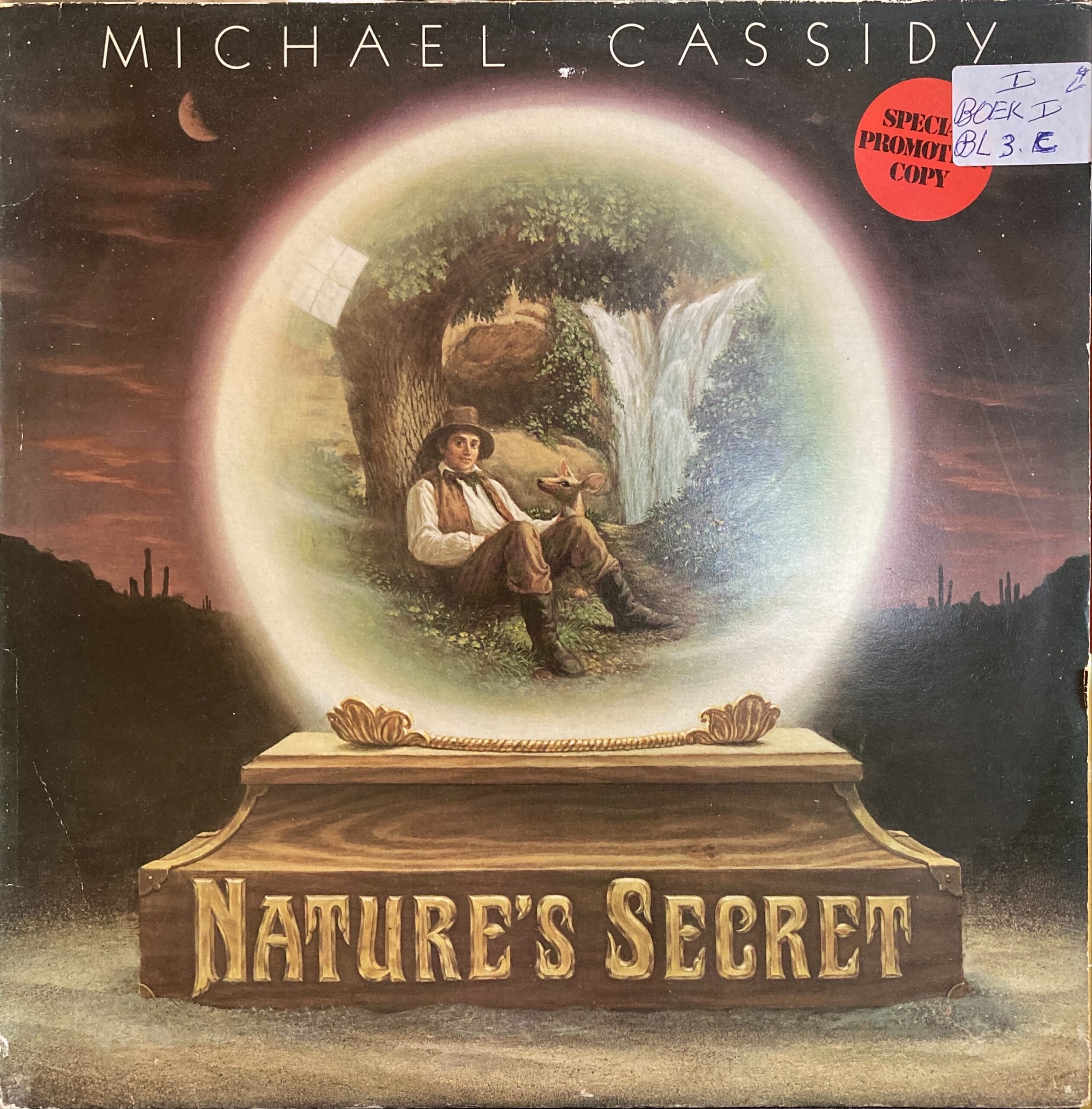 Michael Cassidy - Nature's Secret