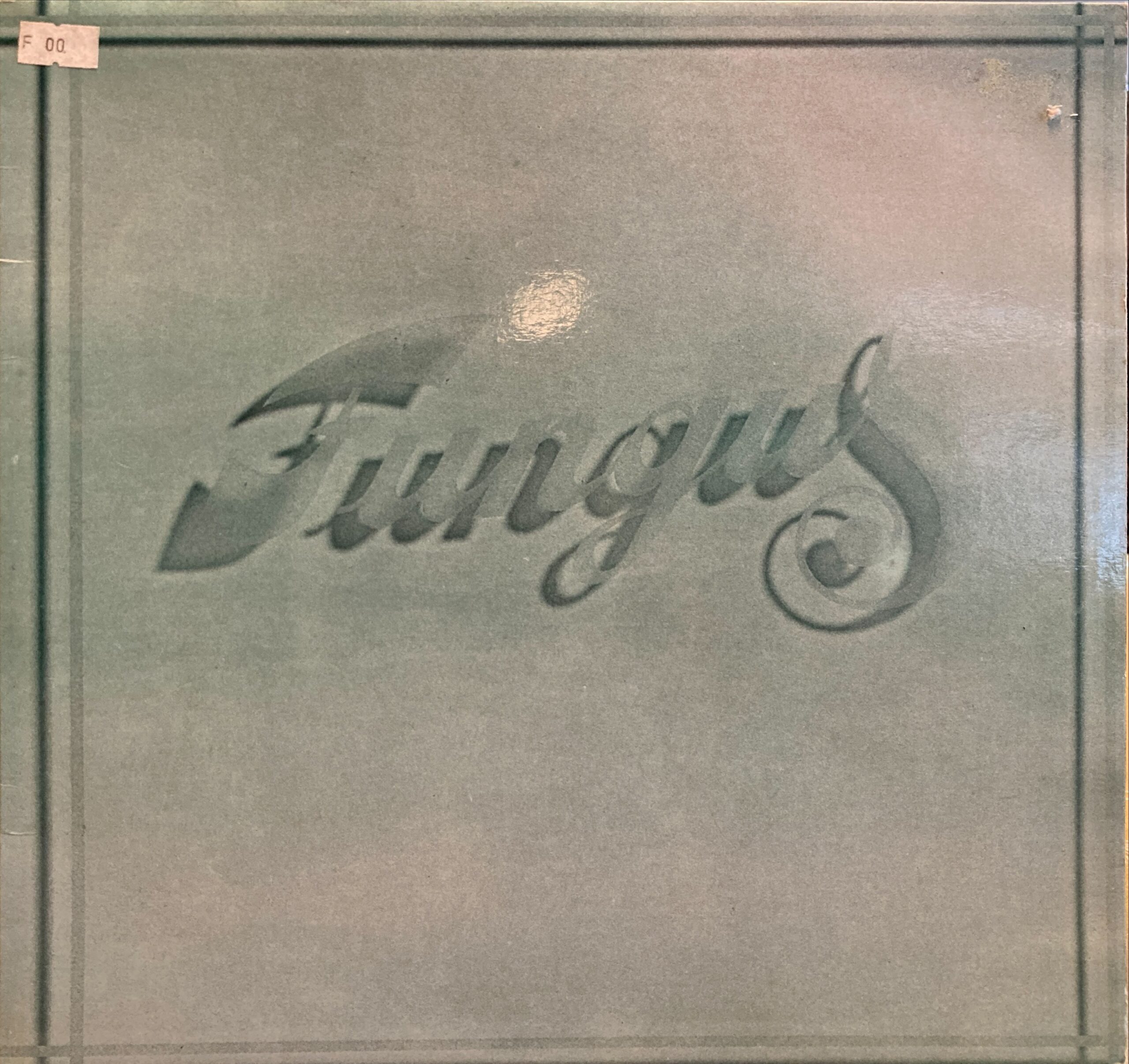 Fungus - Fungus