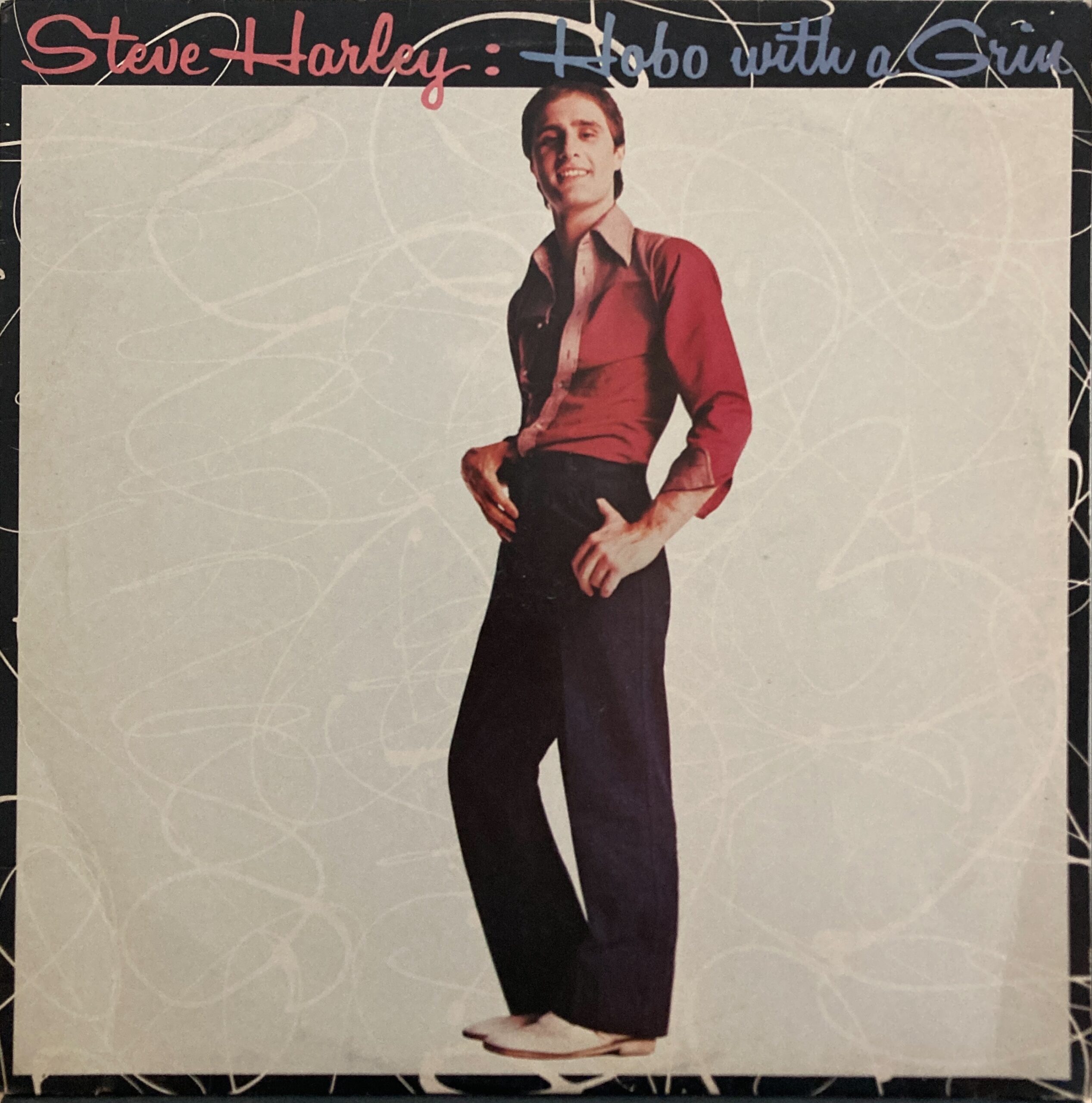 Steve Harley - Hobo With A Grin