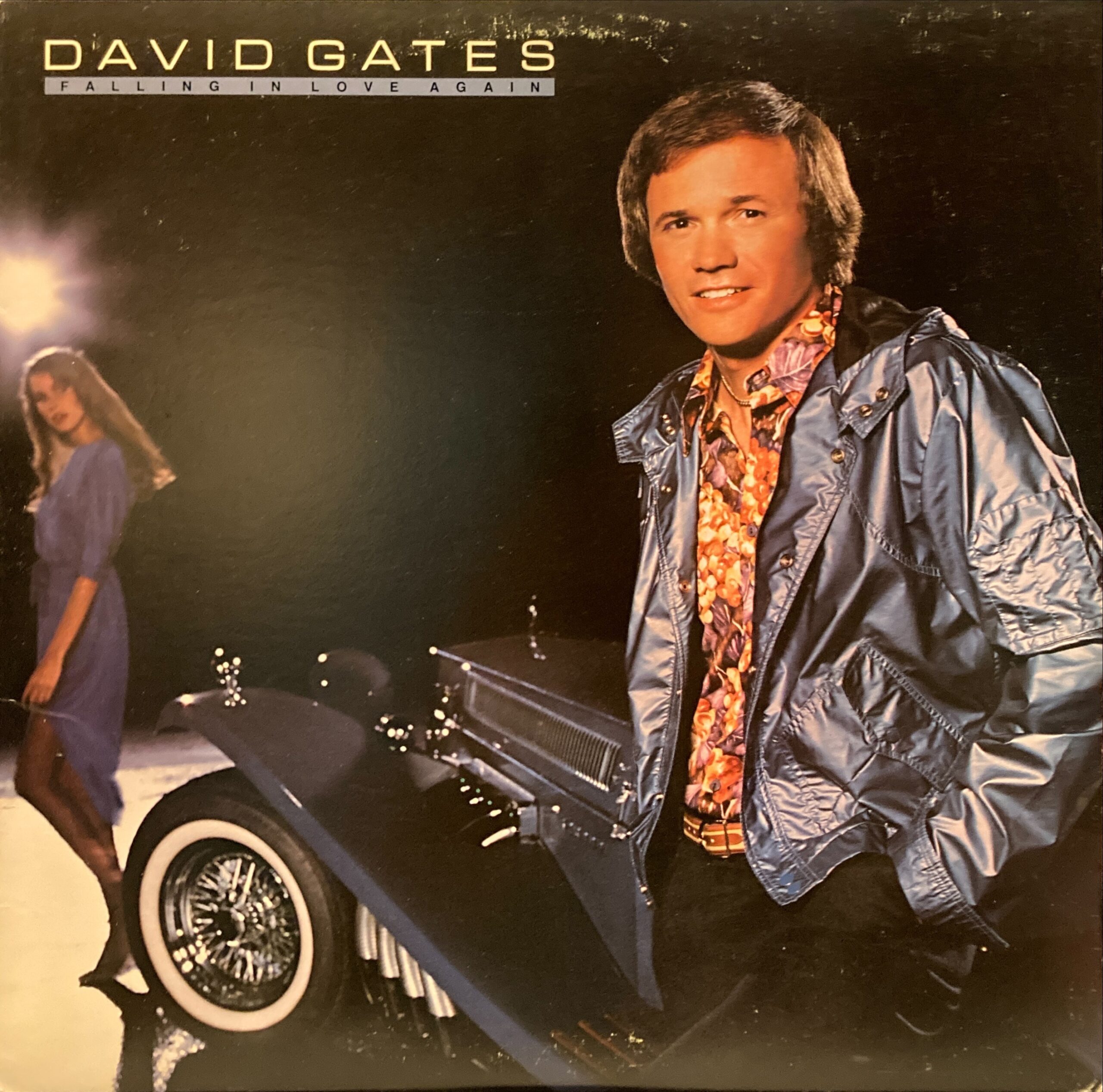 David Gates - Falling In Love Again