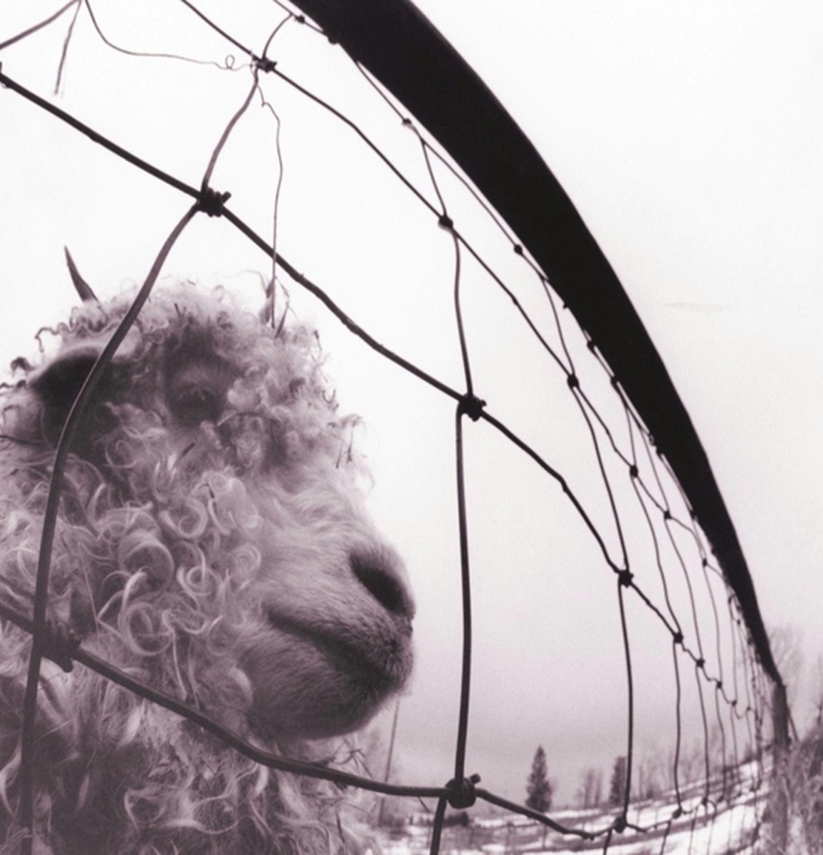 Pearl Jam - VS.