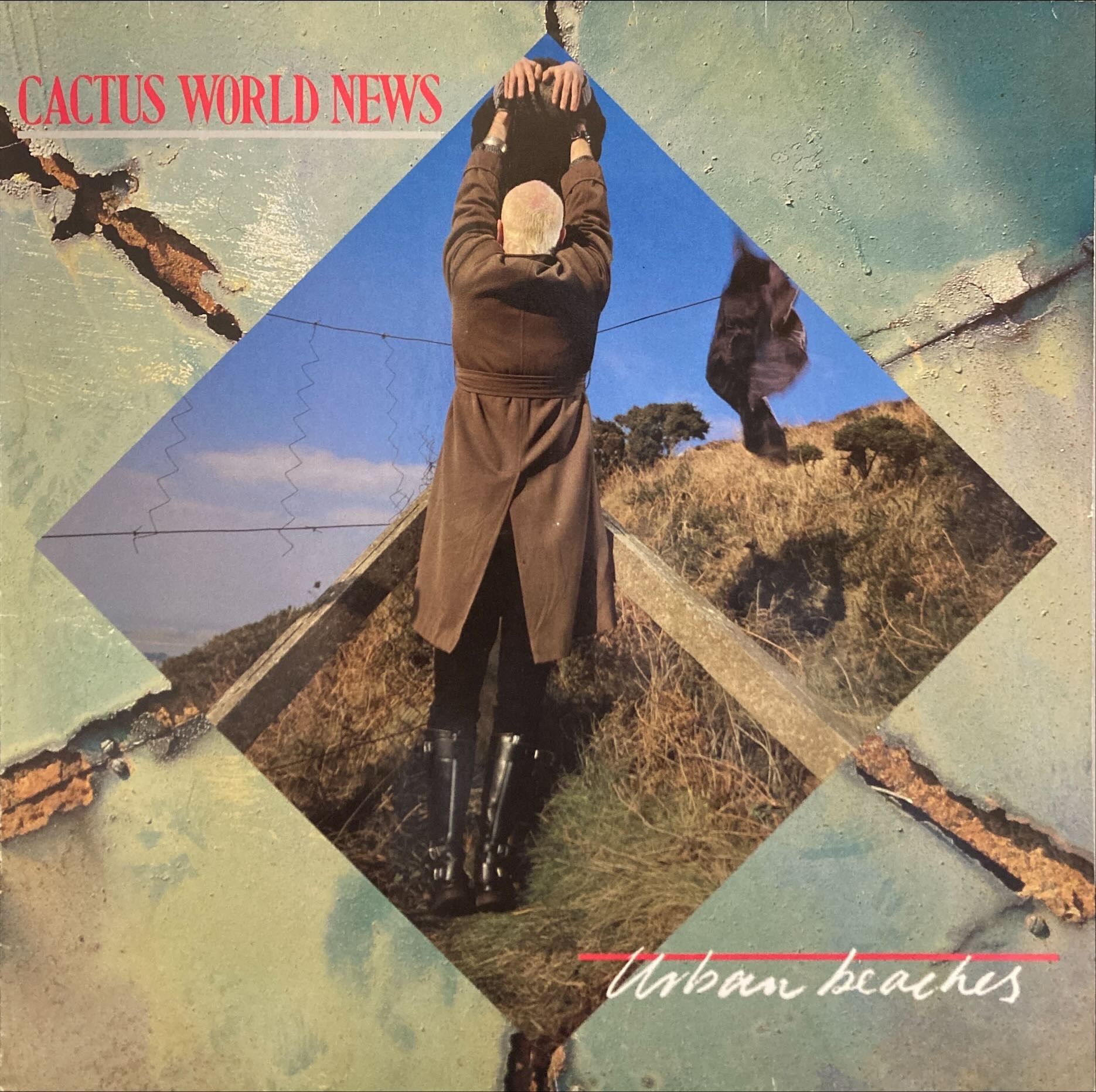 Cactus World News - Urban Beaches