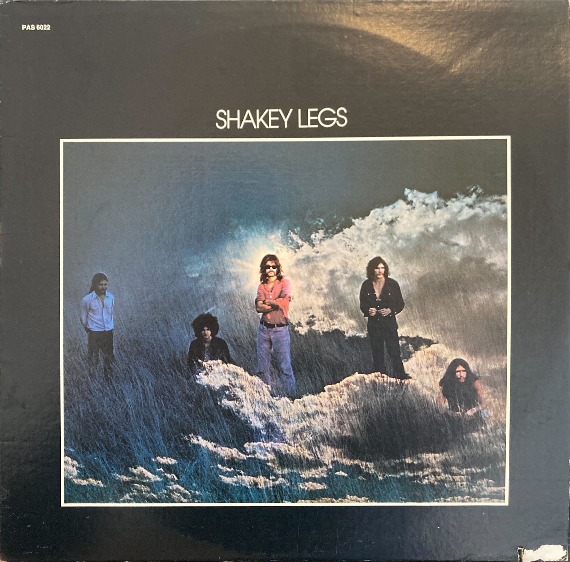 Shakey Legs - Shakey Legs