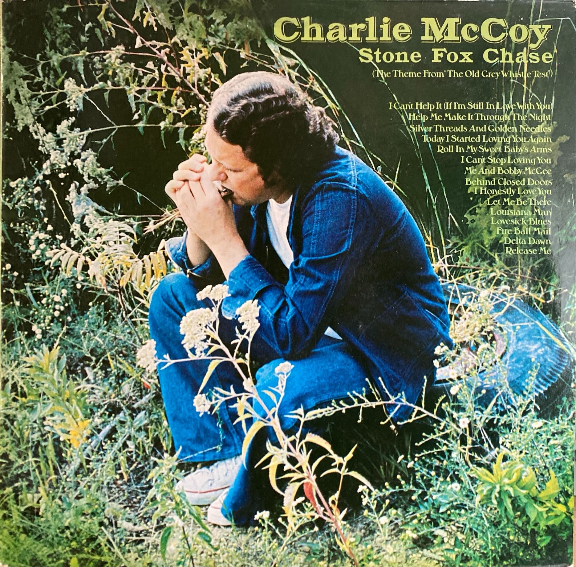 Charlie McCoy - Stone Fox Chase