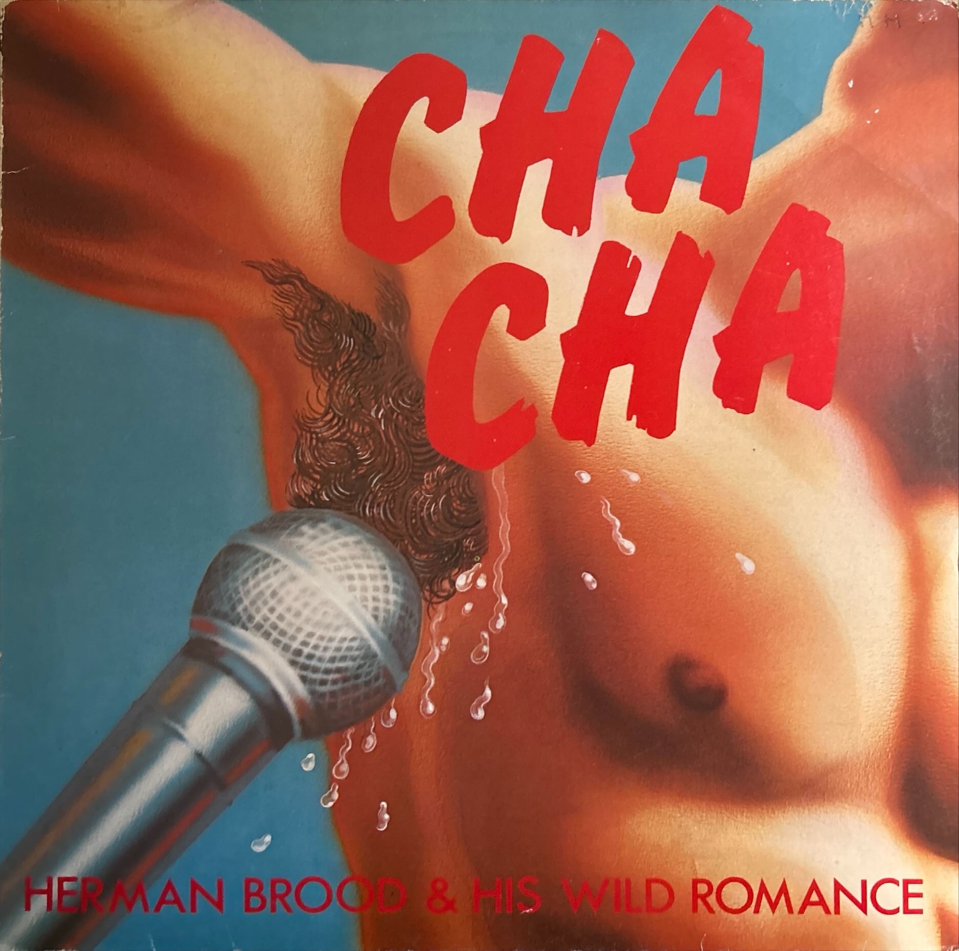Herman Brood & His Wild Romance - Cha Cha