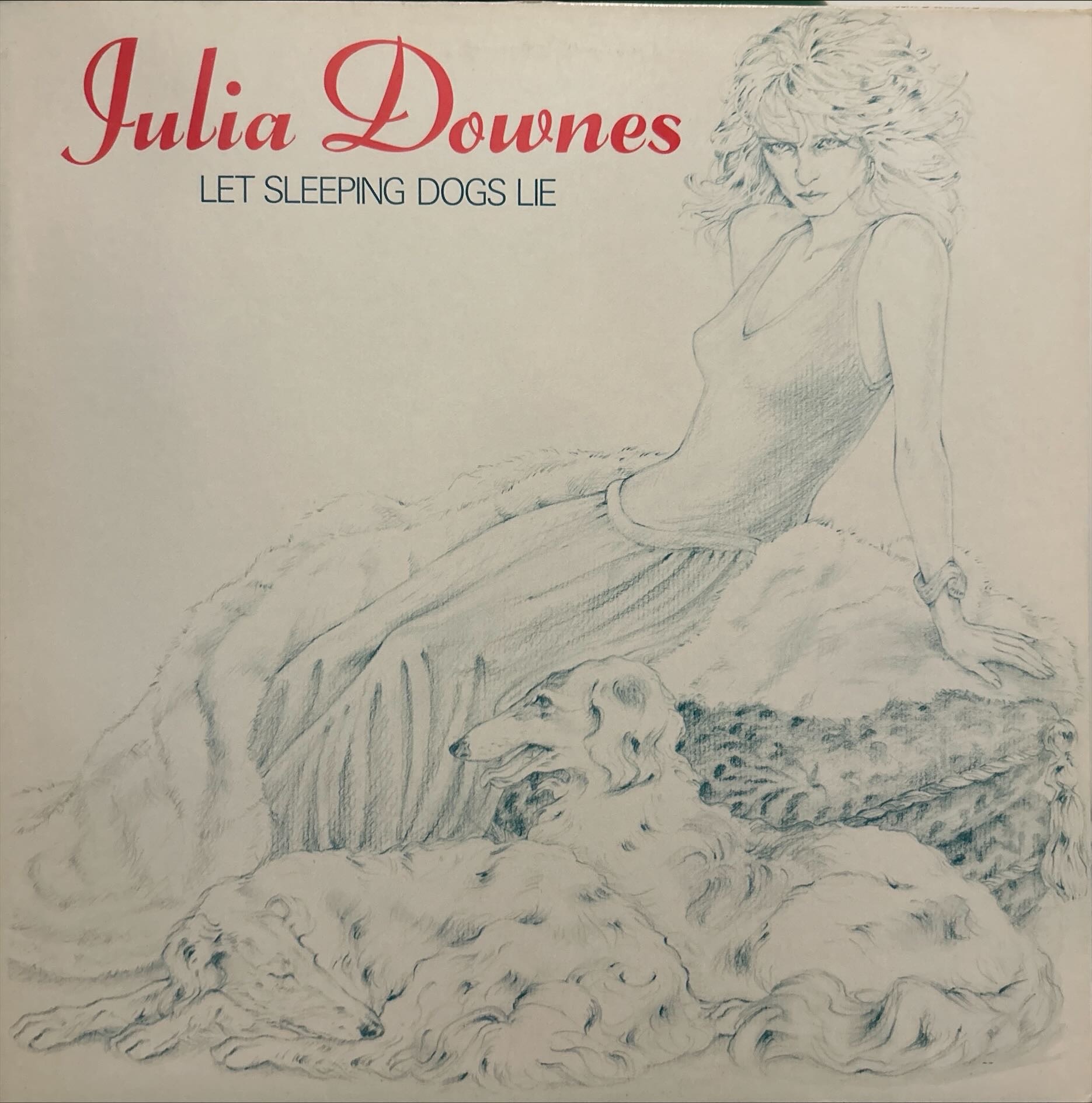 Julia Downes - Let Sleeping Dogs Lie