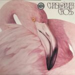 Christopher Cross - Another Page