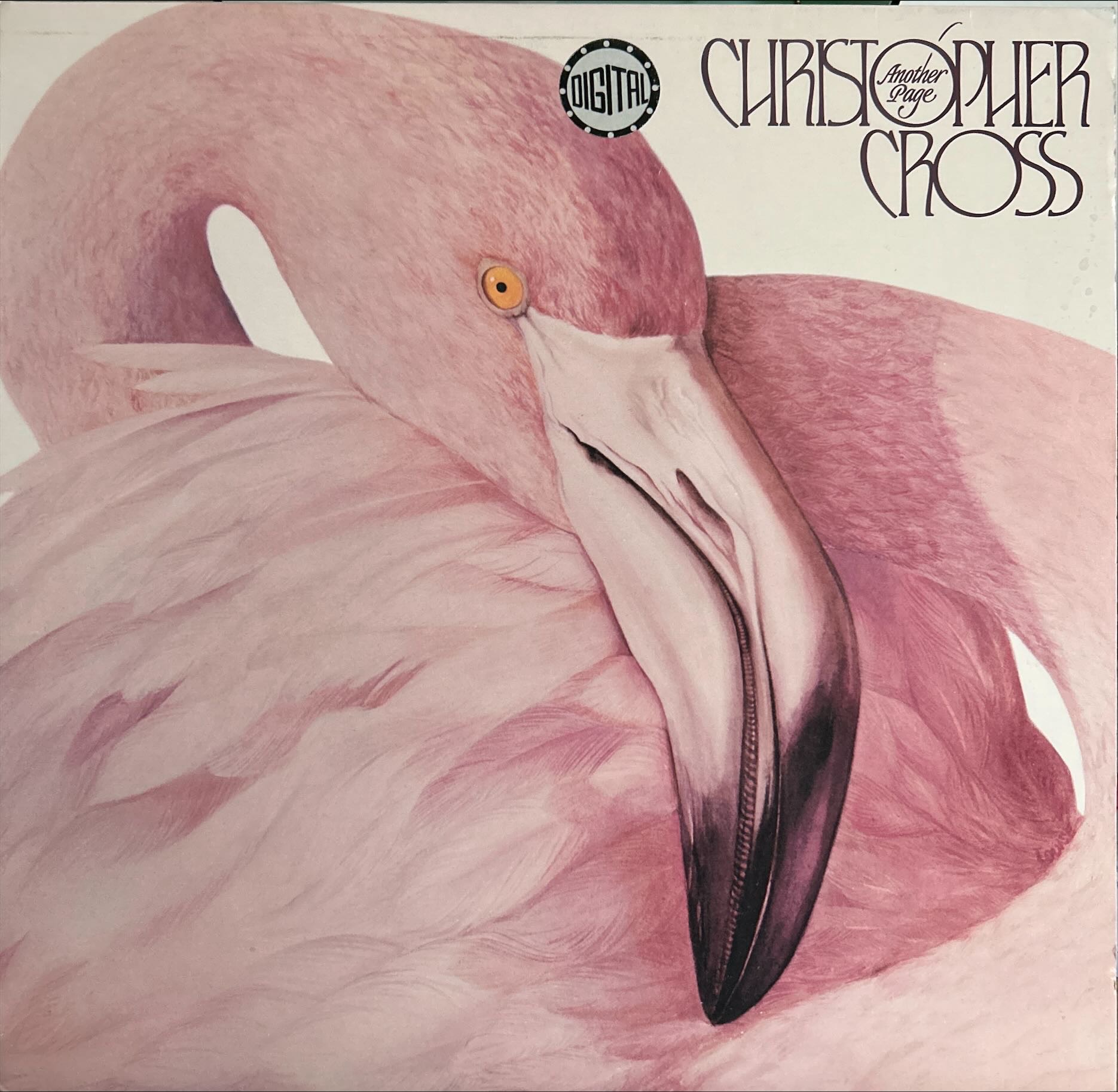 Christopher Cross - Another Page