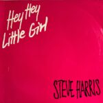 Steve Harris - Hey Hey Little Girl