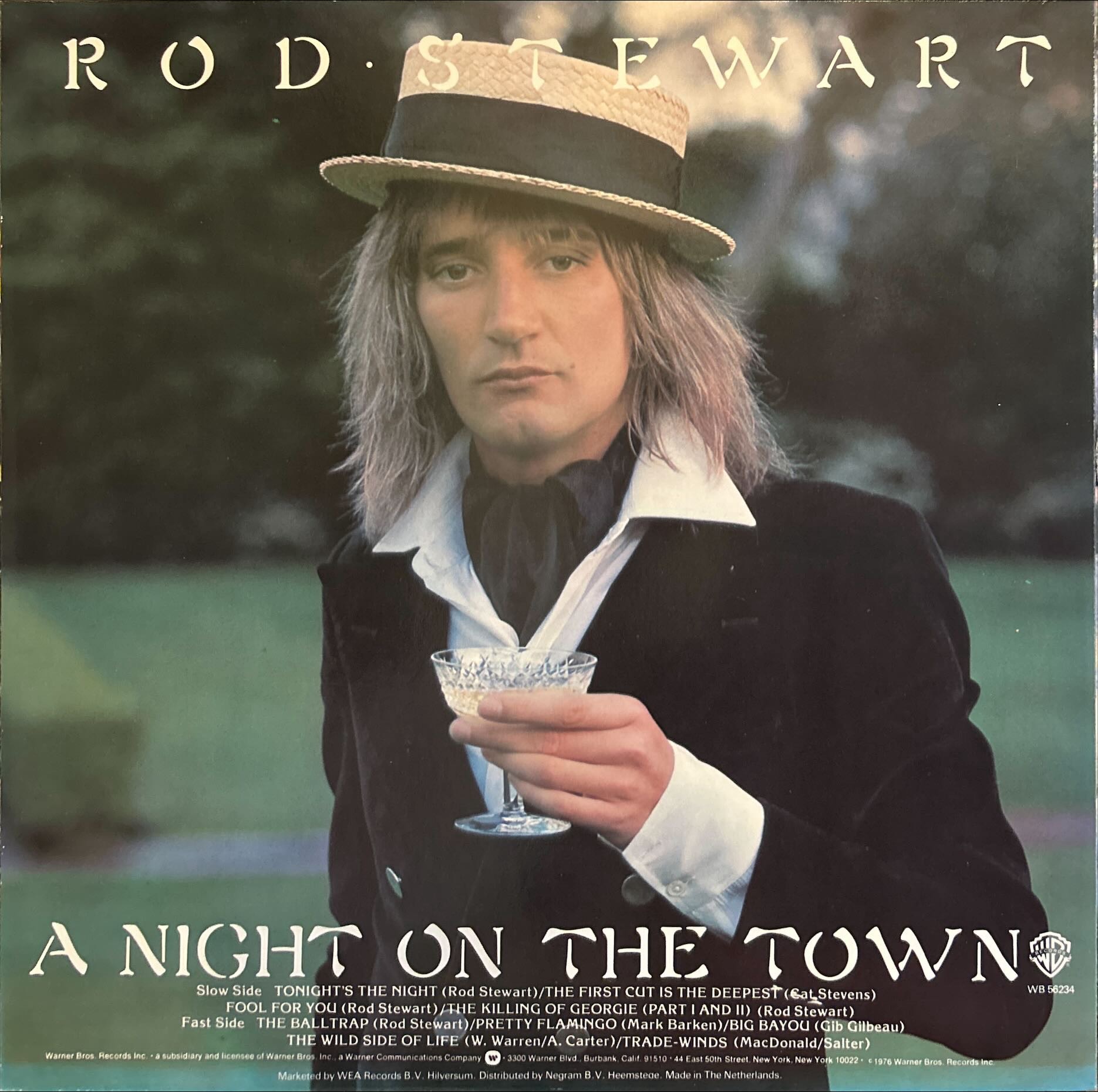 Rod Stewart - Night On The Town, A