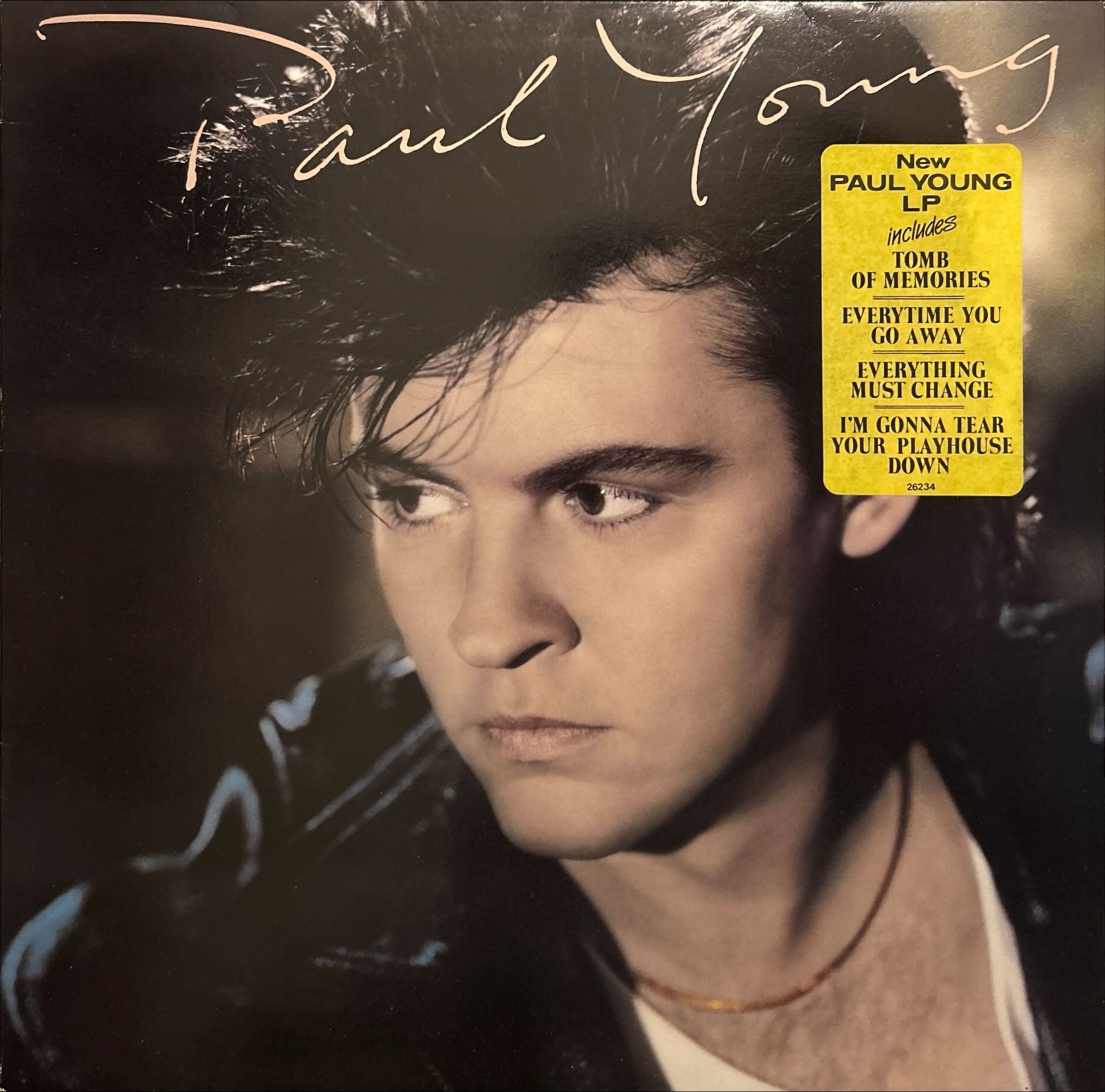 Paul Young - Secret Of Association, The