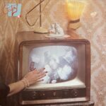 Cats TV - Cats TV