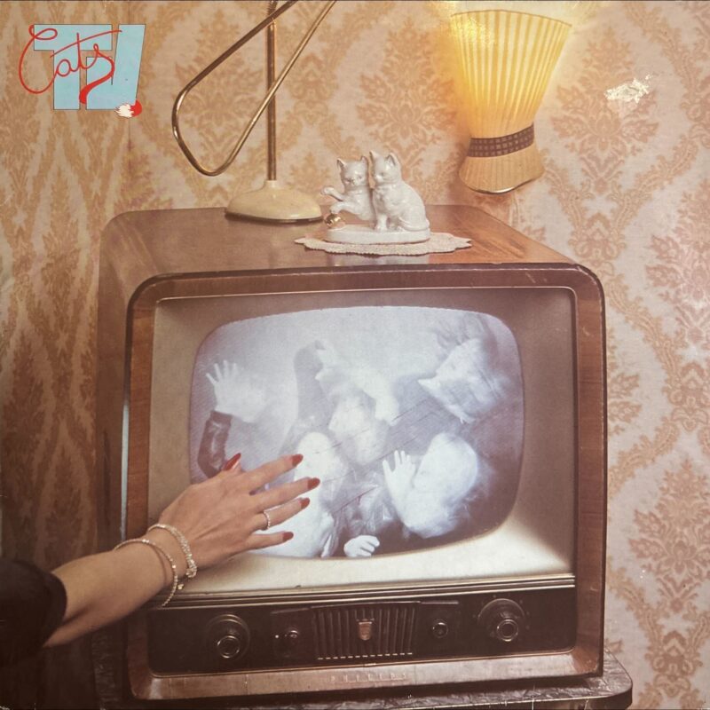 Cats TV - Cats TV