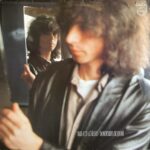 Boudewijn de Groot - Van Een Afstand