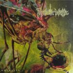 Psychotic Waltz - Mosquito