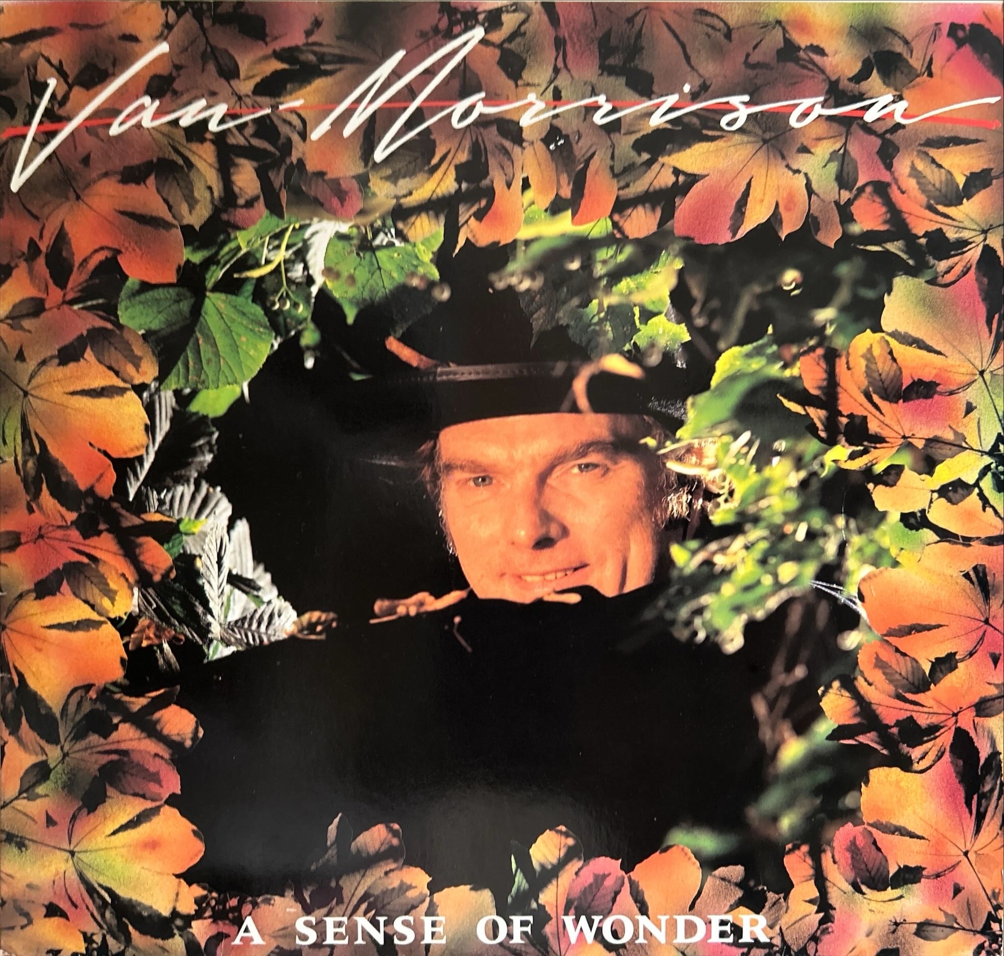 Van Morrison - Sense Of Wonder, A