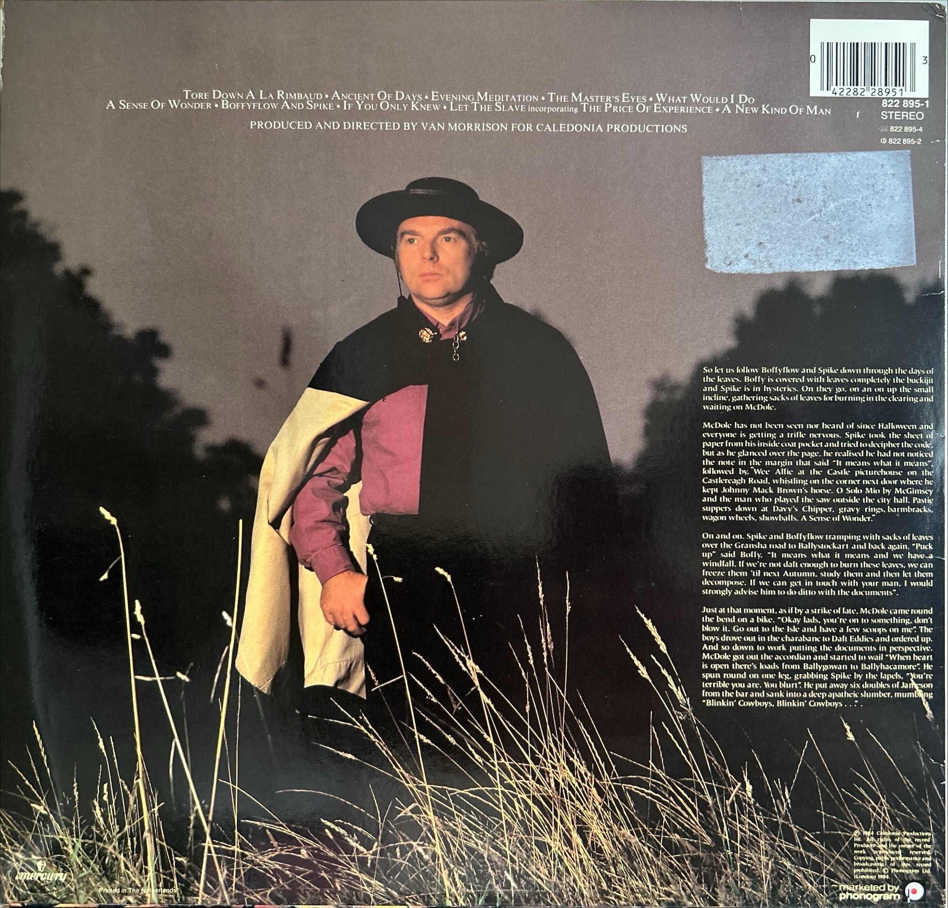 Van Morrison - Sense Of Wonder, A
