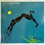 Steve Winwood - Arc Of A Diver