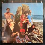 Sea Level - Cats On The Coast