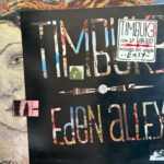 Timbuk 3 - Eden Alley