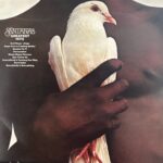 Santana - Santana's Greatest Hits