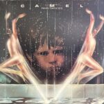 Camel - Rain Dances