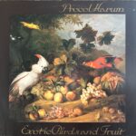 Procol Harum - Exotic Birds And Fruit