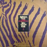 Kwanzaa Posse Featuring Funk Master Sweat - Wicked Funk (Remix)