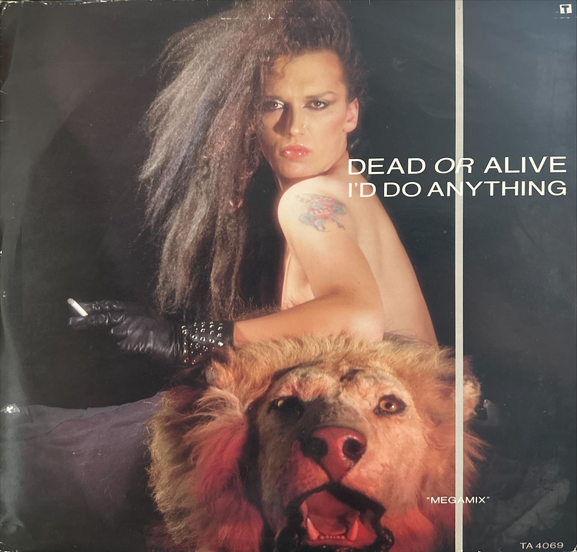 Dead Or Alive - I'd Do Anything (Megamix)
