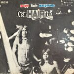 Ragni - Rado - MacDermot - DisinHAIRited