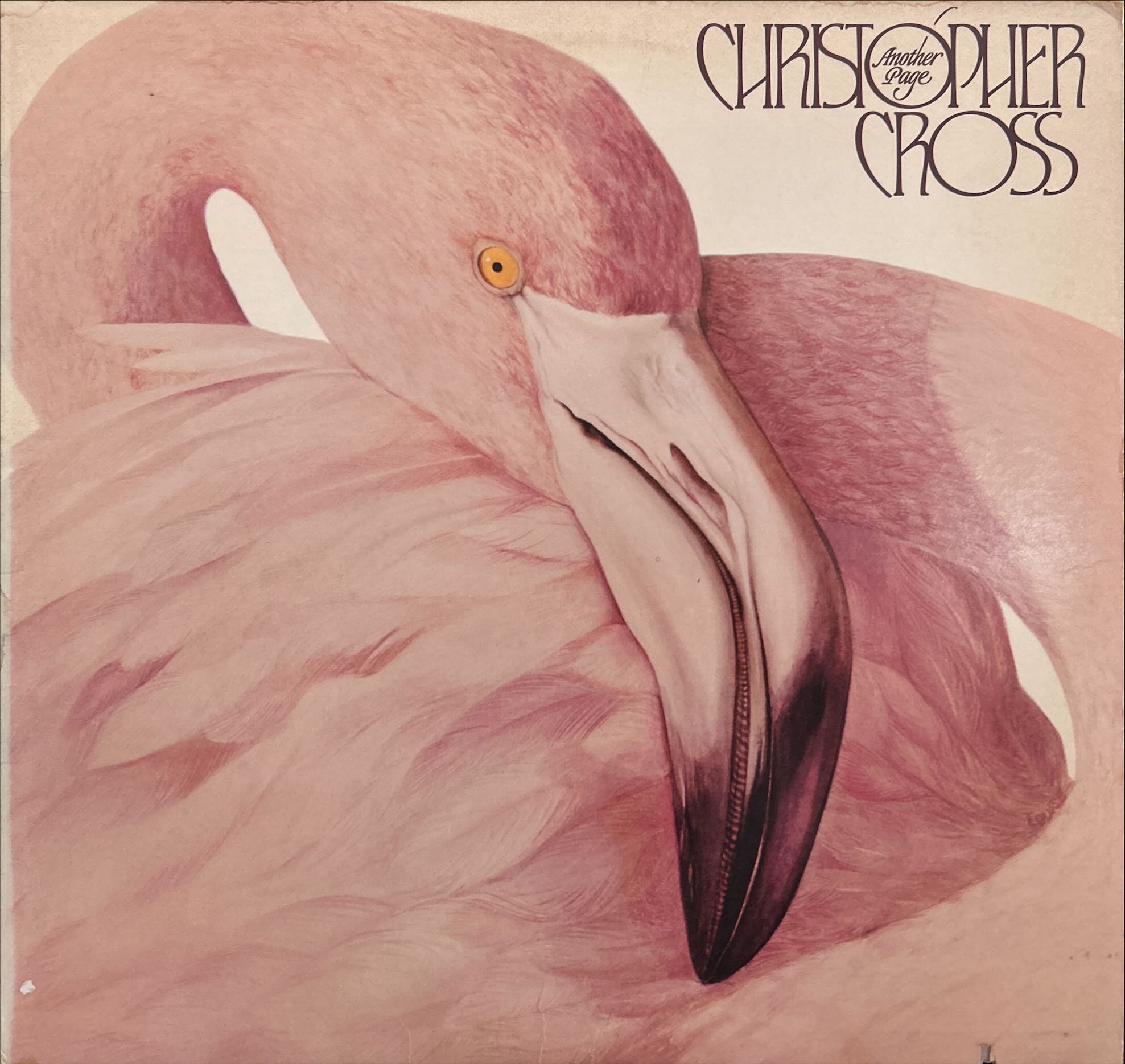 Christopher Cross - Another Page