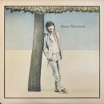 Steve Winwood - Steve Winwood