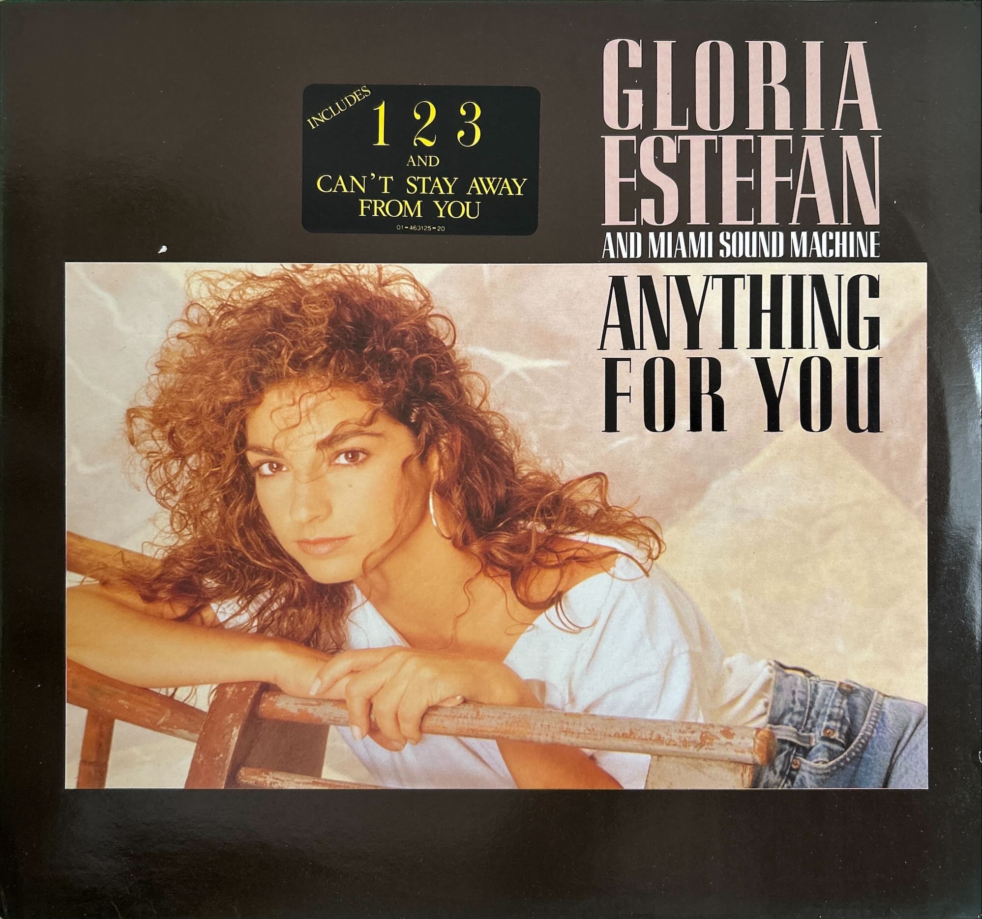 Gloria Estefan And Miami Sound Machine - Anything For You
