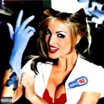 Blink-182 - Enema Of The State