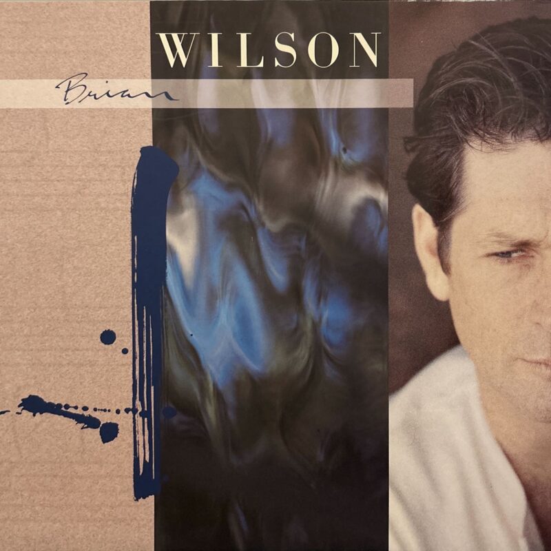 Brian Wilson - Brian Wilson