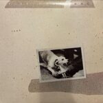 Fleetwood Mac - Tusk