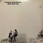 Norman Greenbaum - Spirit In The Sky