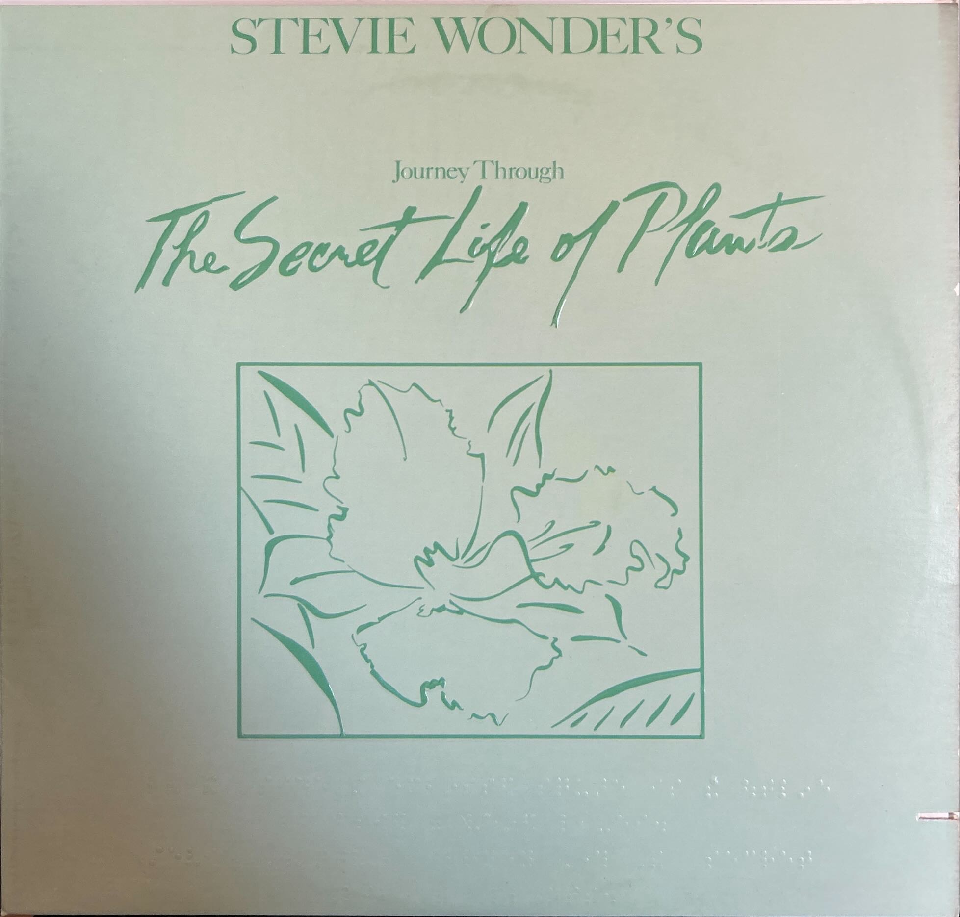 Stevie Wonder - Stevie Wonder's Journey Through The Secret Life Of Plants