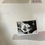 Fleetwood Mac - Tusk
